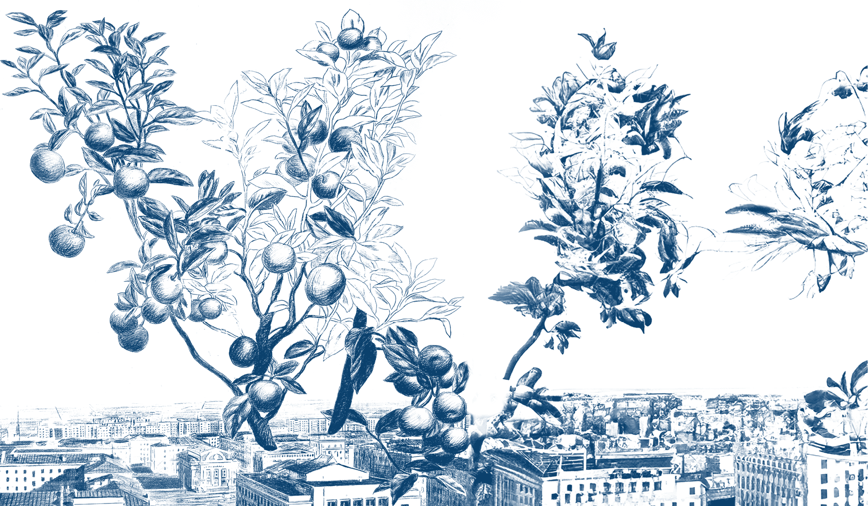  20 ЛЕТ УСТОЙЧИВОГО РАЗВИТИЯ