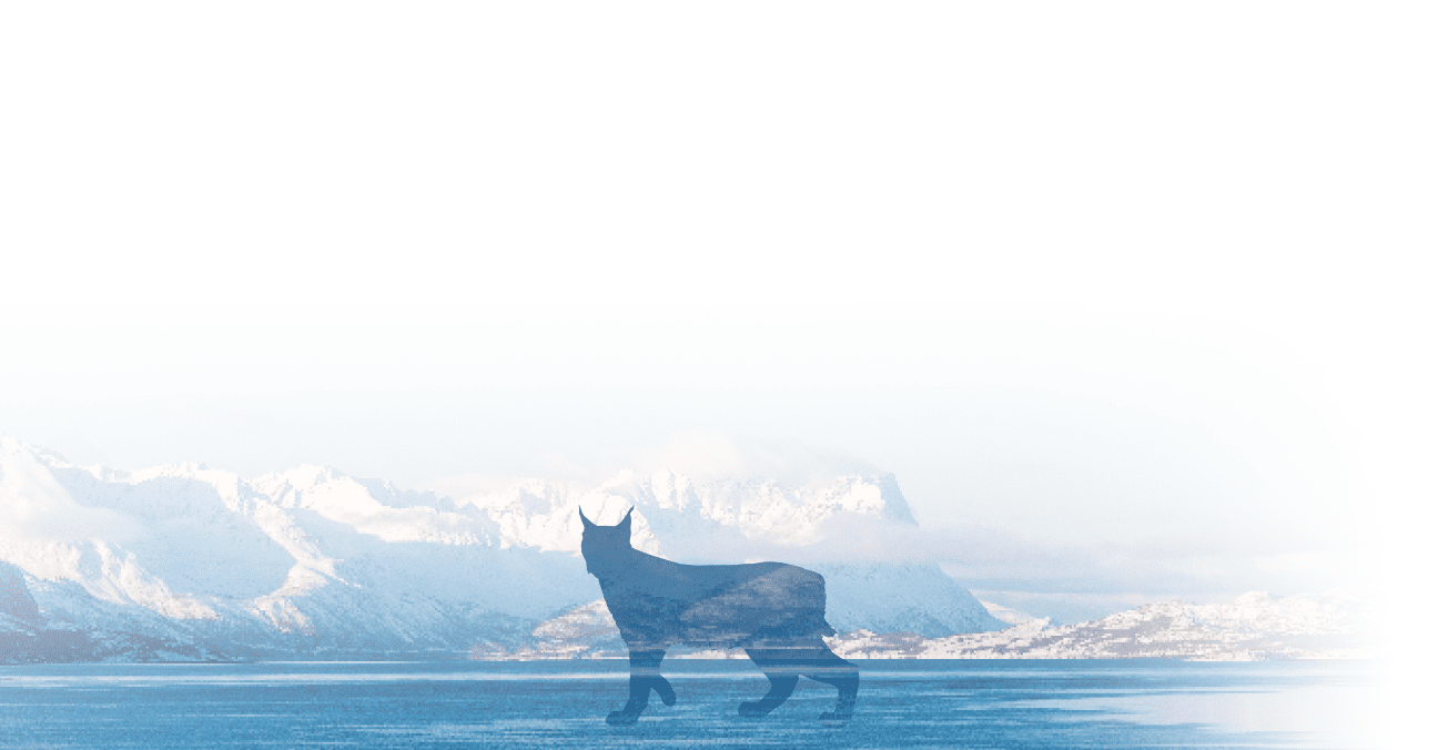 Статистика в области обеспечения информационной безопасности в 2023 году