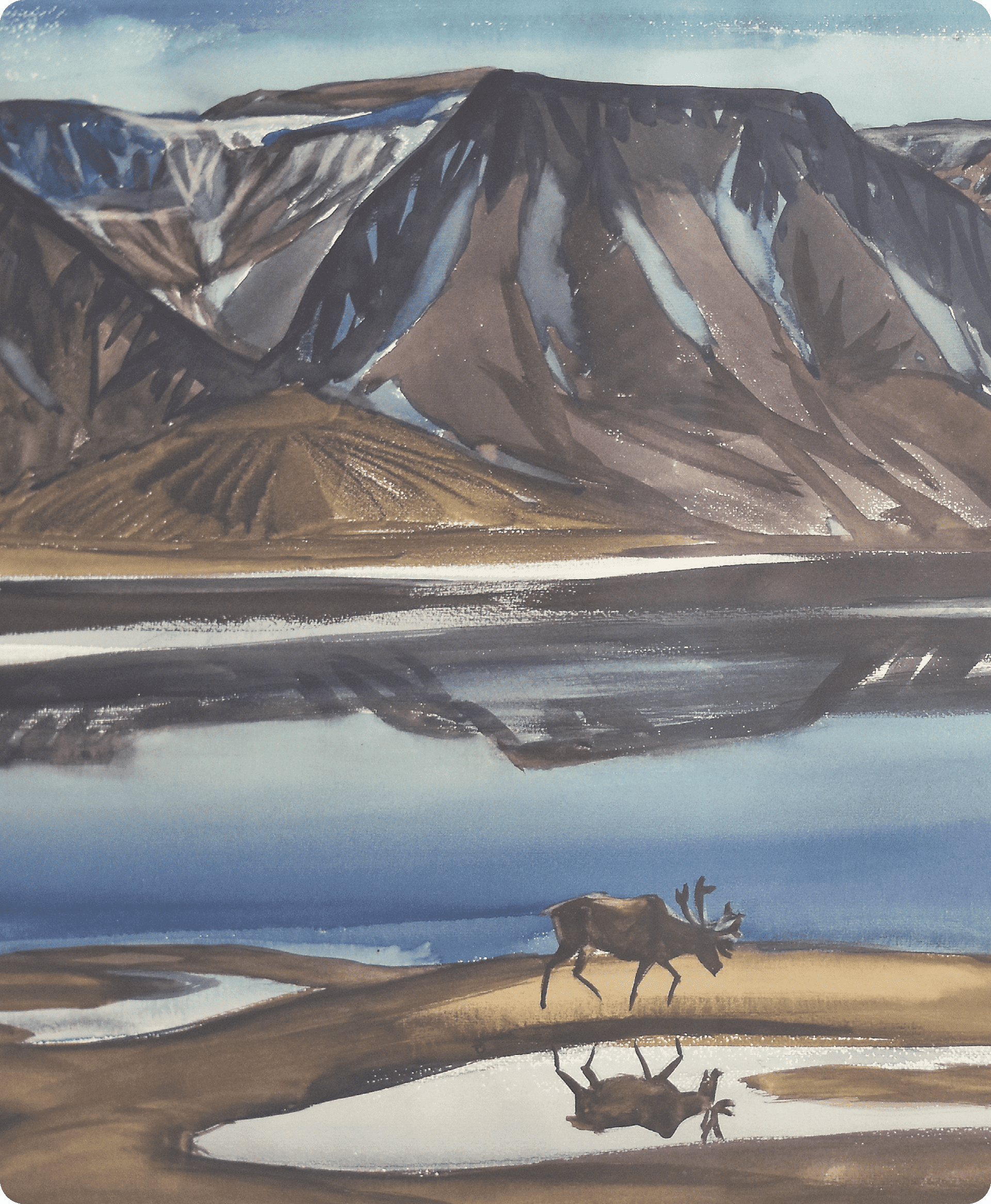 Лось у озера 